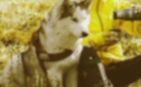 鄰里和諧的名人名言