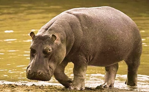 ���R�����ĽY(ji��)���Z�Ĺ���