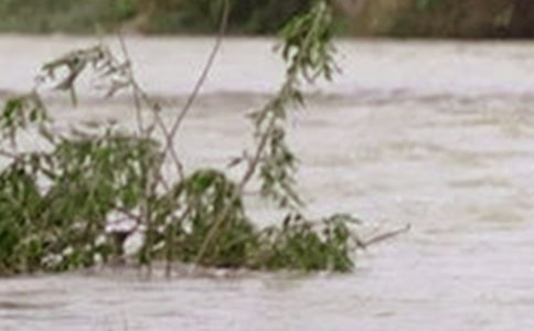 ��ˮ������