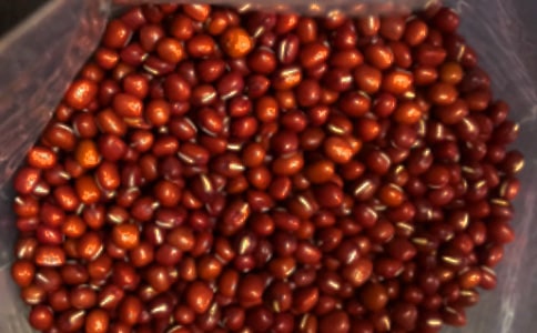 �쾉������һ�׼t�������