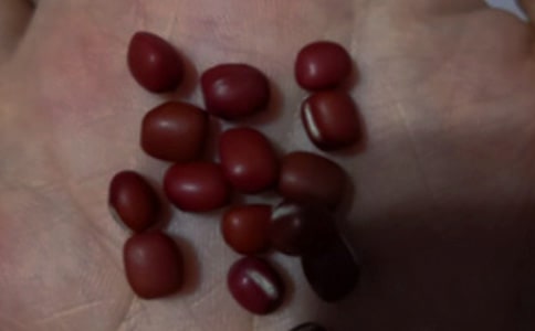 �t��ɼ����[��]