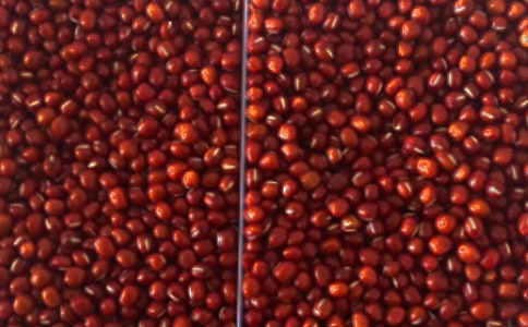 �l(f��)ѿ�ļt������