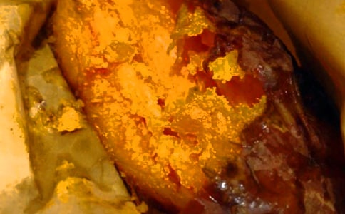 �ڼt�����ģ�ͨ��27ƪ��