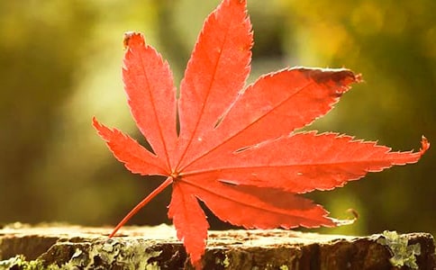 �t�~������