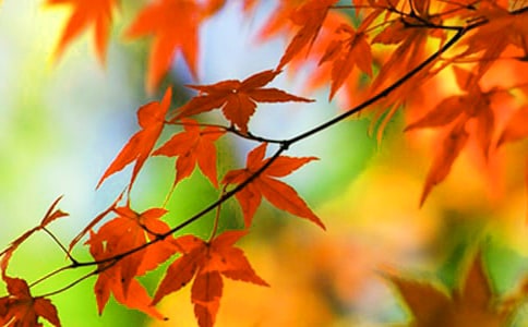 �t�~��һ������