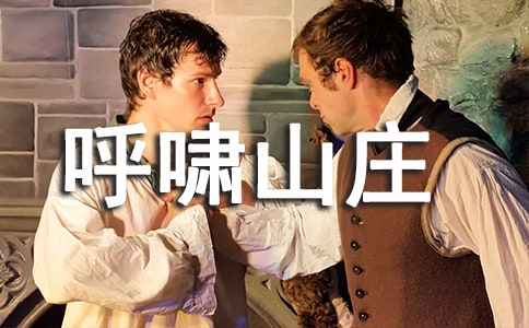 《呼嘯山莊》讀書心得體會(huì)