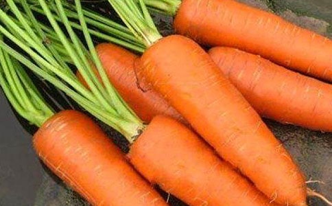 �����á����}������15ƪ