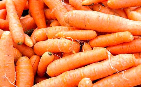 胡蘿卜先生的長胡子續(xù)寫作文(精選54篇)