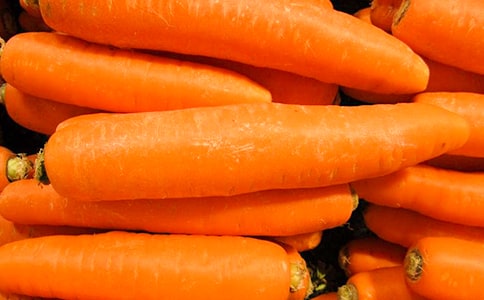 胡蘿卜作文(推薦)