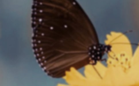 ����С���� ���к��������ǉ�