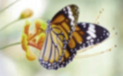 ׽�������D��Ԓ�ϼ�[15ƪ]