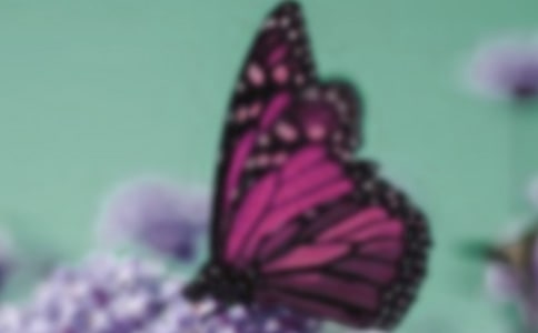 �P(gu��n)�ں�����Ԋ(sh��)������Щ���P(gu��n)�ں�����Ԋ(sh��)��