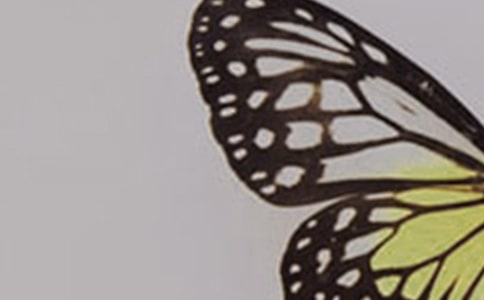 ׽�������D��Ԓ15ƪ������