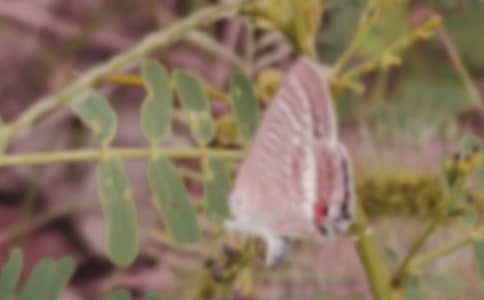 ����Ч��(y��ng)�^��з���