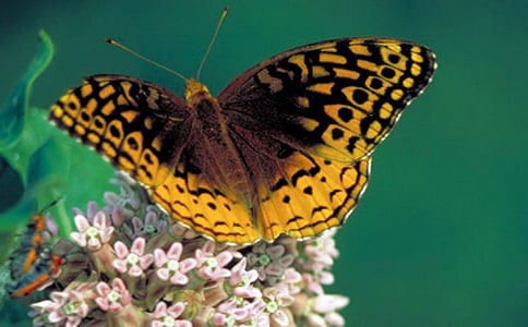 ����:�����ĺ�������