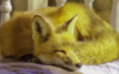 ���˲���ĺ�؂�ְ֡��x���(���x15ƪ)