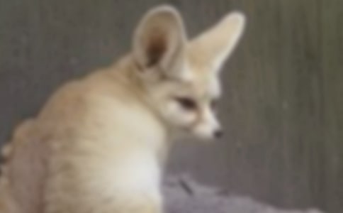 ��؂�c��Ԓ���^��Ѓ�(y��u)�㣨ͨ��10ƪ��