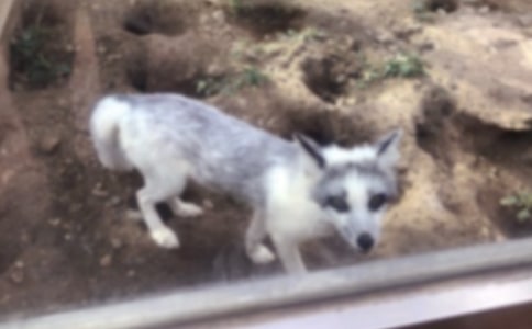 С�ܺ�С��؂�Ĺ���