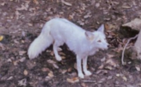 ����؂�͞��f��ͬ������(x��)