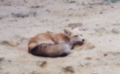 �˲���ĺ�؂�ְ��x���