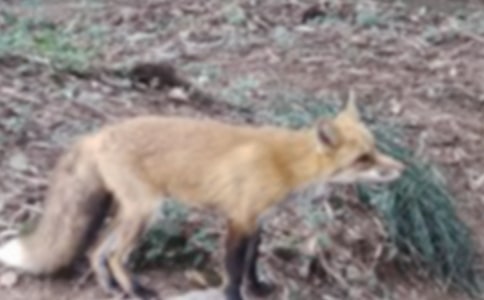 ��؂�T�ϻ���Ъ���Z