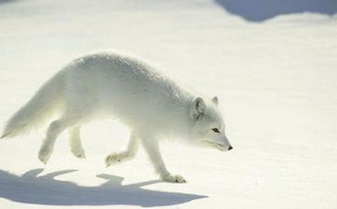 ��؂�͞��f�Ĺ���(��(y��u)��29ƪ)