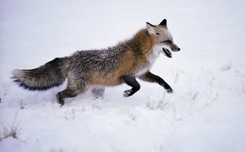 �P�ں�؂��β��Ъ���Z