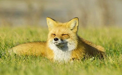 ��؂�͞��f�Ĺ��¡�����15ƪ��