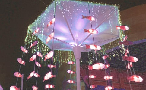 [��]����������14ƪ