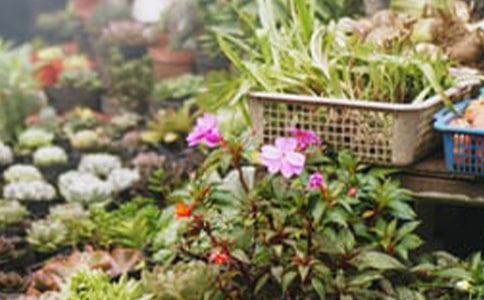 ���ꄓ(chu��ng)�I(y��)Ӌ(j��)��������(3)