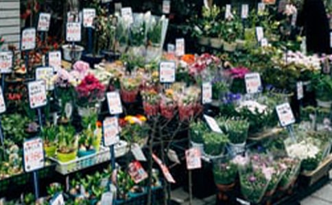 ���x���ꄓ(chu��ng)�I(y��)Ӌ����