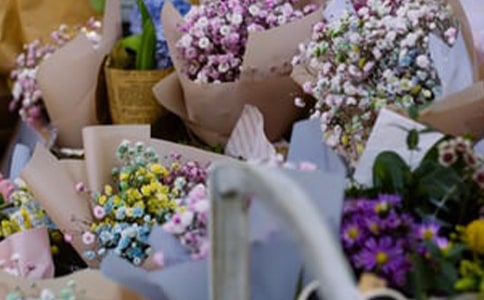 ����V���Z(y��)���\