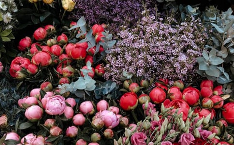 ���ꄓ(chu��ng)�I(y��)Ӌ�����ӱ�