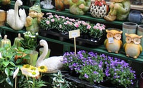 ���»���V���Z