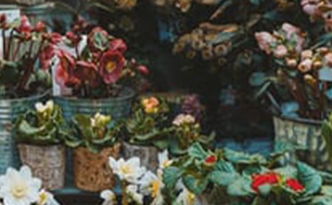 �_�O����Ą�(chu��ng)�I(y��)Ӌ����