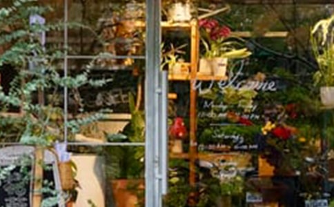 �����������Ԓ����