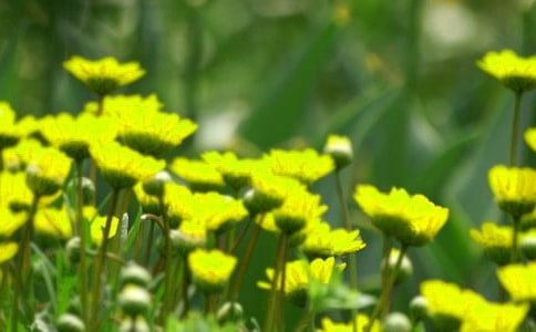 ����(y��u)���_��ӛ����̎�Ļ�������15ƪ