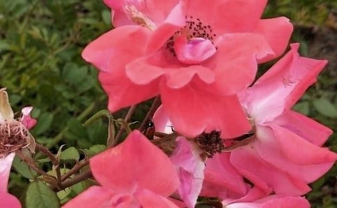 �����������