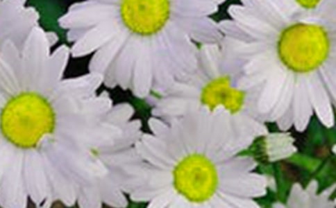 �����_���Ļ�������