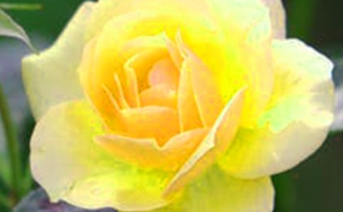 [�ϼ�]�_(k��i)��ӛ����̎�Ļ���