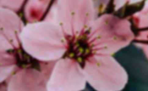 �_��ӛ����̎�Ļ���С�W������