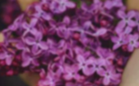 塵埃里的花朵作文