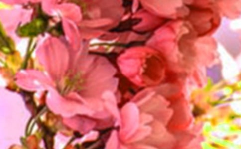 �_(k��i)��ӛ����̎�Ļ���