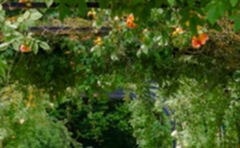 �ҼҵĻ��@���ġ��]��