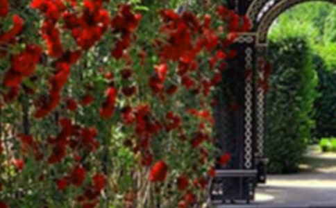 ���˵Ļ��@���ķ���15ƪ