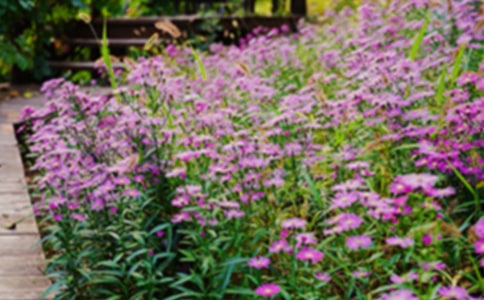 ���Ļ��@����550��