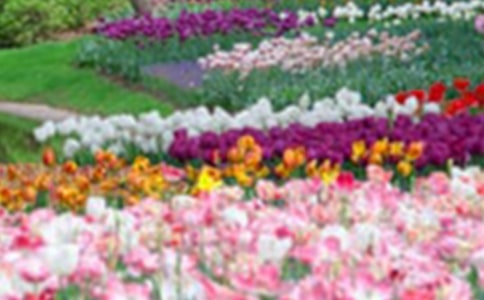 ���л��@����(����14ƪ)