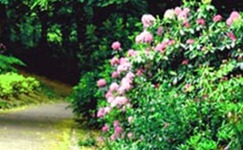 С�^(q��)�Ļ��@����[���]]