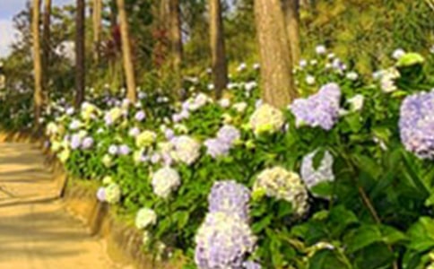 ���л��@����3ƪ