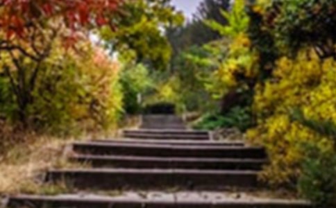 �ҼҵĻ��@���ļ��ϣ�15ƪ��